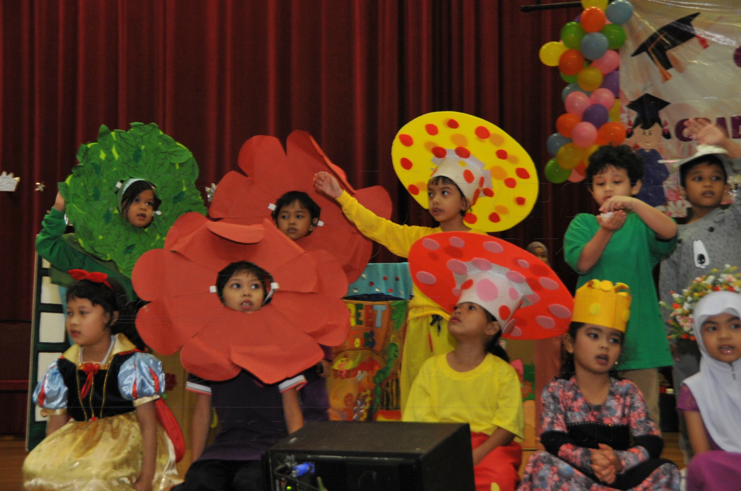 PRO15 163 KONVO HAS 0834